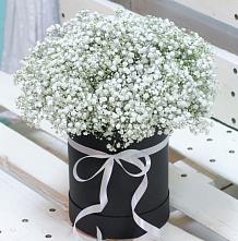 Цветочная композиция из Гипсофила в шляпной коробке #REPLACE_PRED# Ноябрьск