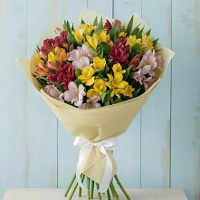 Букет цветов из:  Альстромерии в Ноябрьск