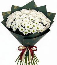Букет цветов из:  Хризантемы в Ноябрьск
