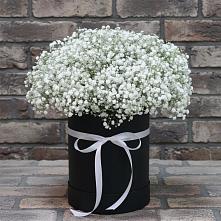 Цветочная композиция из Гипсофила в шляпной коробке #REPLACE_PRED# Ноябрьск
