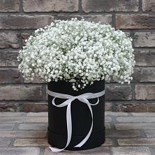 Композиция коробка гипсофил в Ноябрьск Цветочная композиция из Гипсофила в шляпной коробке в Ноябрьск